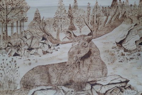 "Bull Moose" - 11.25 x 16.5, pyrography on poplar, $375